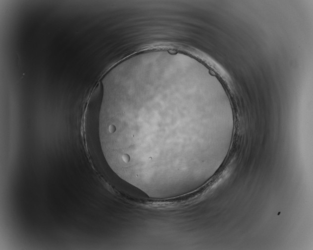 X0000087590953200705181217