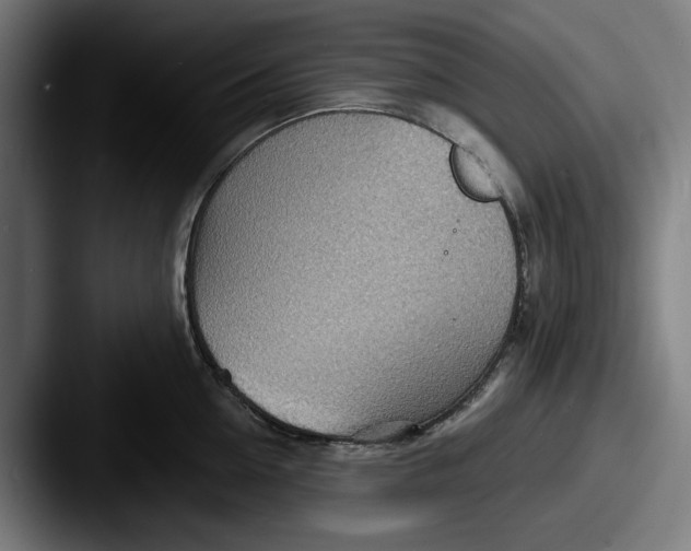 X0000087590954200705181217