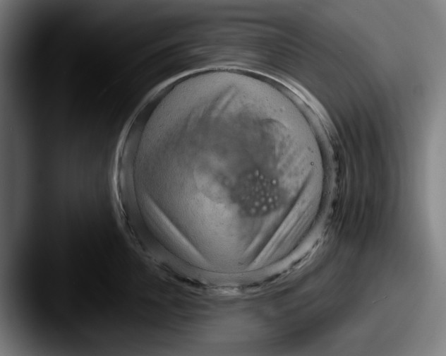 X0000087590956200705181217