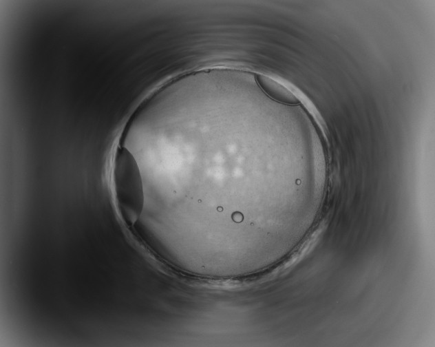 X0000087590957200705181217