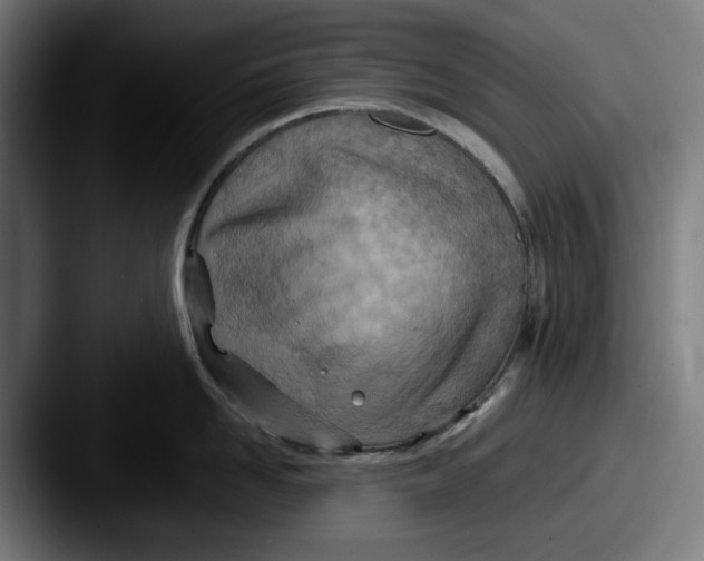 X0000087590958200705181217