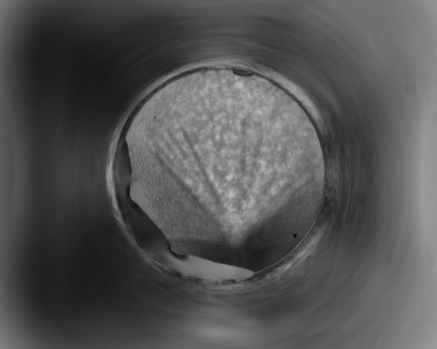 X0000087590959200705181217