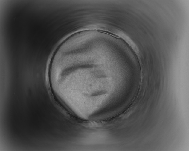 X0000087590960200705181217