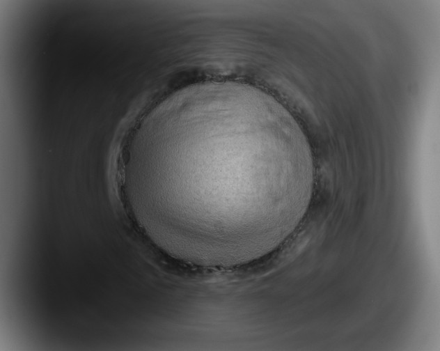 X0000087590961200705181216