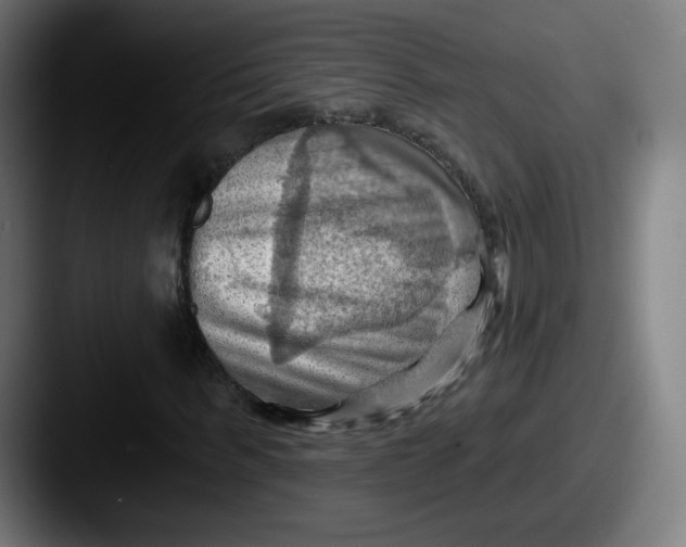 X0000087590963200705181216