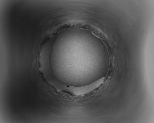 X0000087590965200705181216