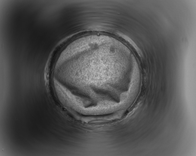 X0000087590971200705181216