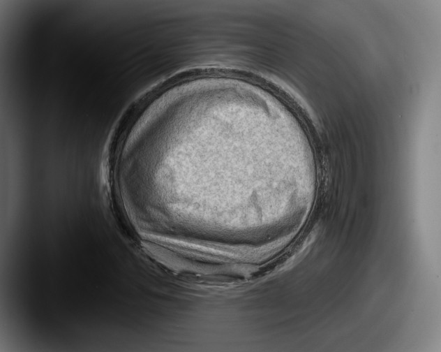 X0000087590974200705181216