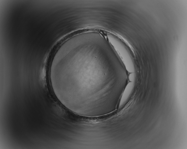 X0000087590975200705181216