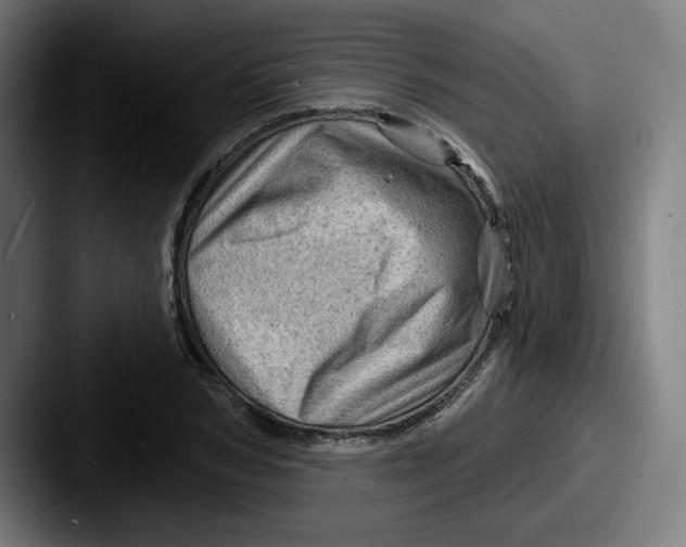 X0000087590978200705181216