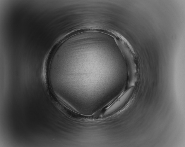 X0000087590981200705181216