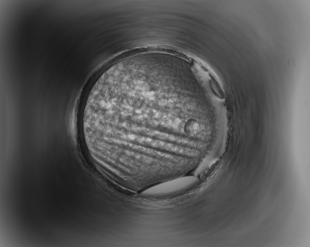 X0000087590983200705181216