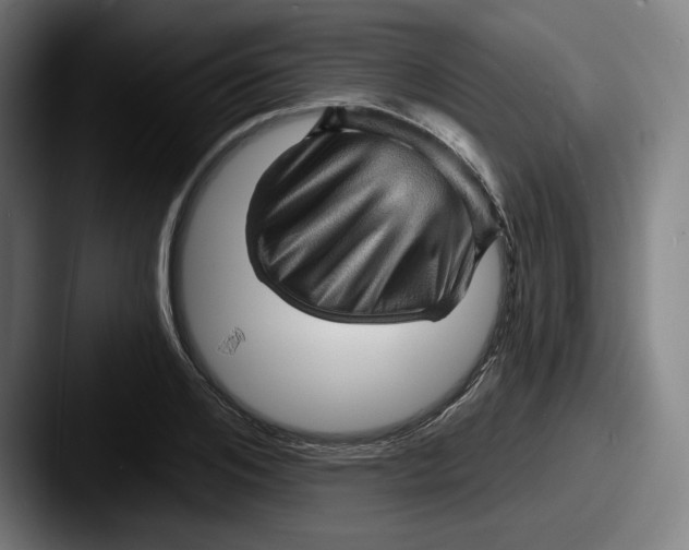 X0000087590984200705181216