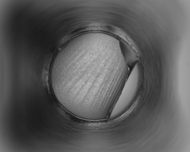 X0000087590985200705181216