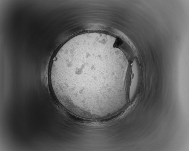 X0000087590986200705181216