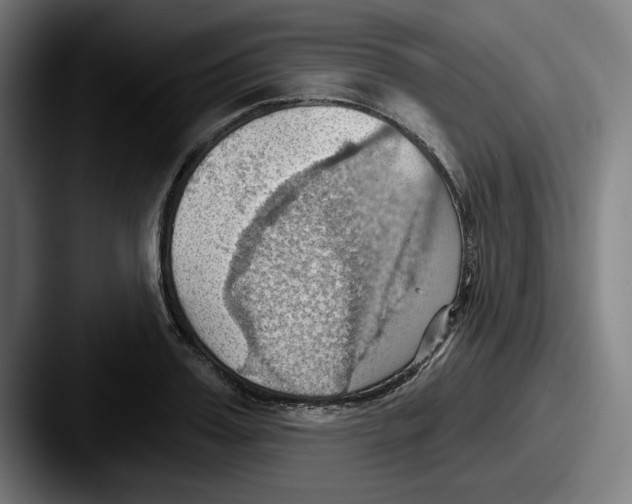 X0000087590987200705181216