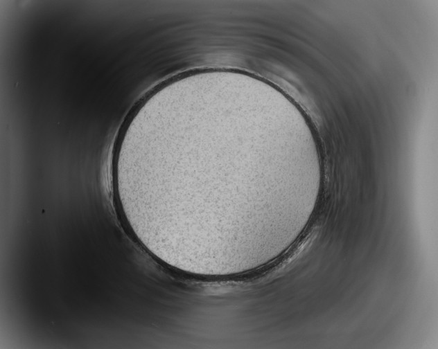 X0000087590988200705181216