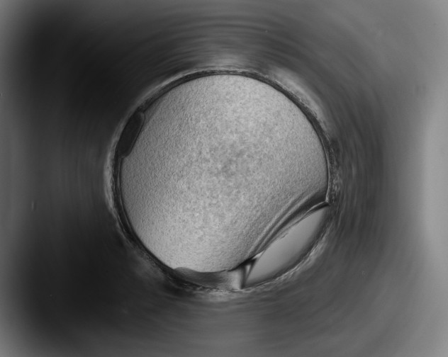 X0000087590989200705181216