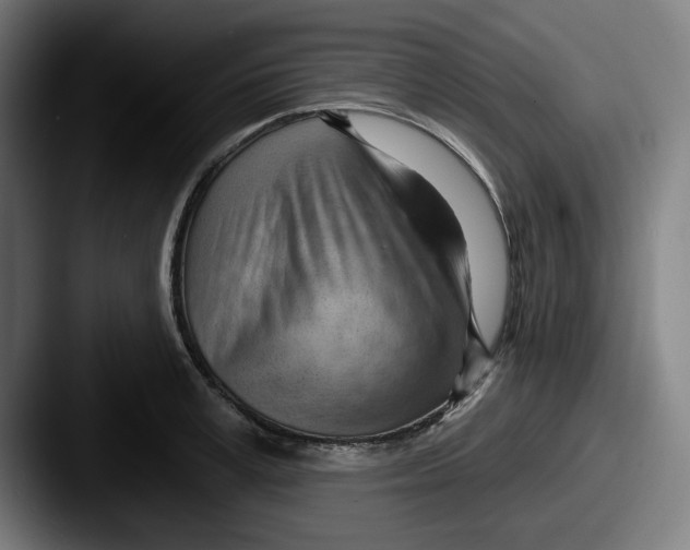 X0000087590995200705181216