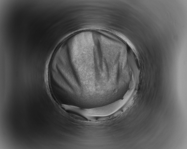 X0000087590996200705181216