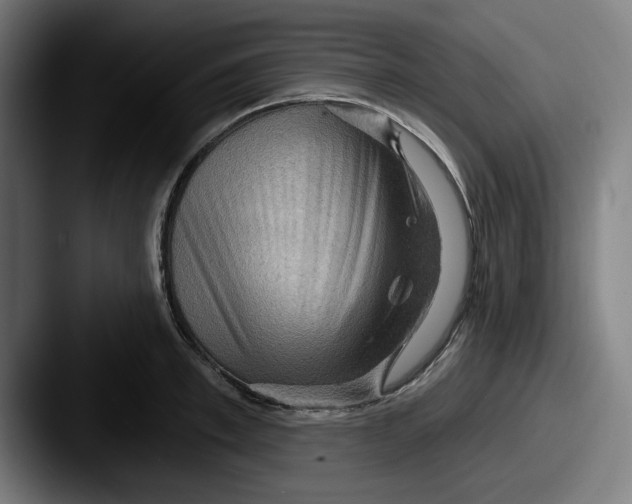 X0000087590997200705181216