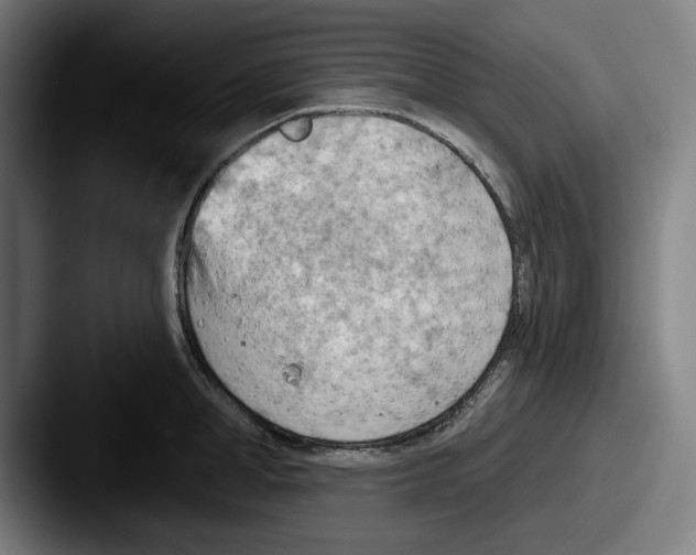 X0000087590998200705181216