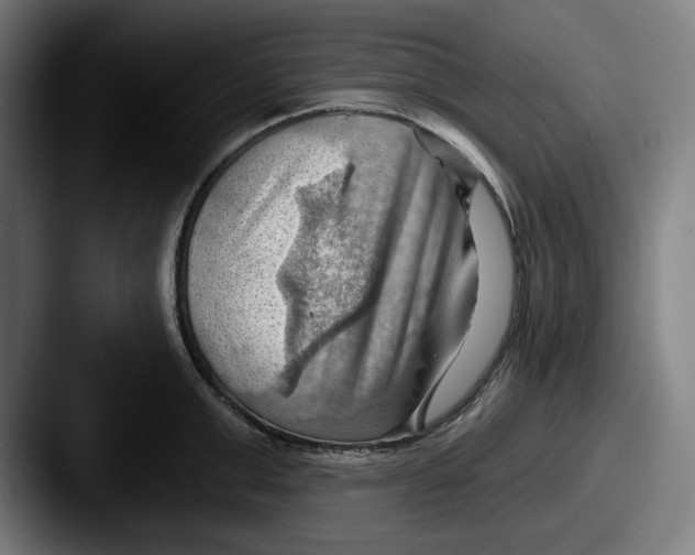 X0000087590999200705181216