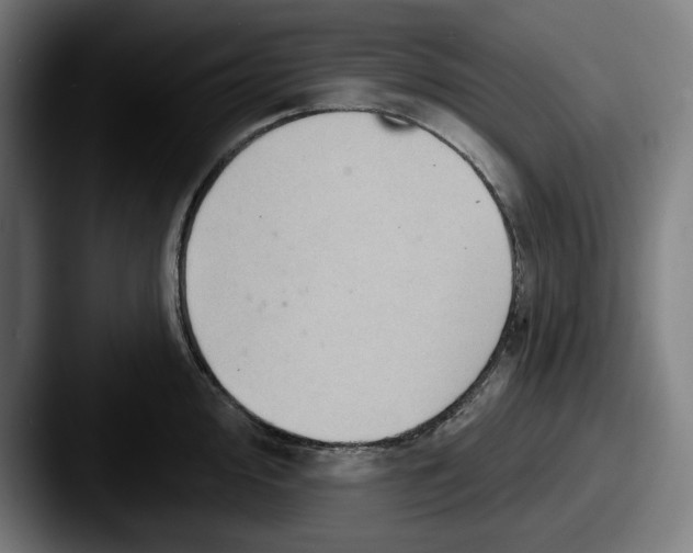 X0000087591000200705181216