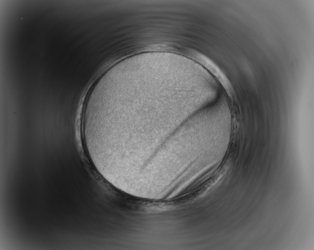 X0000087591002200705181216