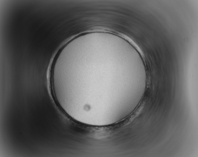 X0000087591003200705181216