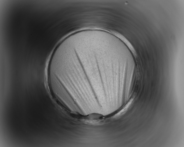 X0000087591004200705181216