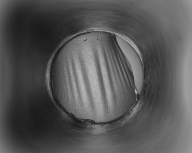 X0000087591005200705181216