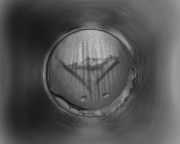 X0000087591007200705181215