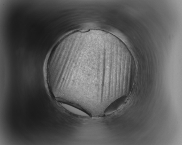 X0000087591008200705181215