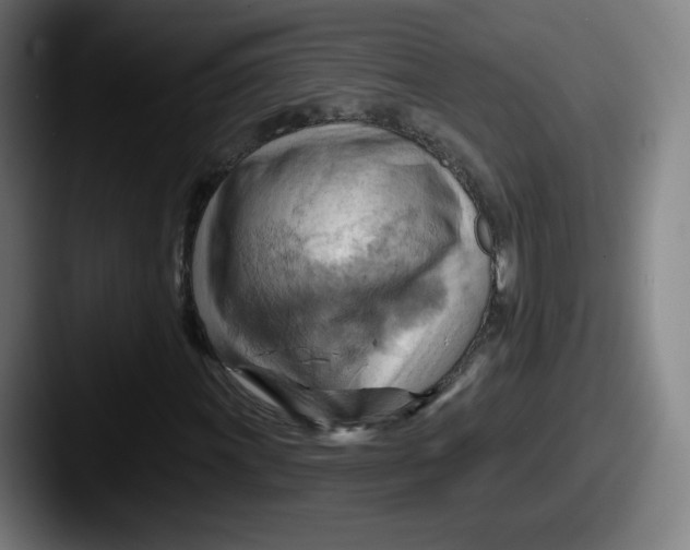 X0000087591011200705181215