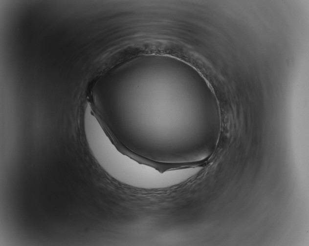 X0000087591013200705181215