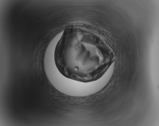 X0000087591014200705181215