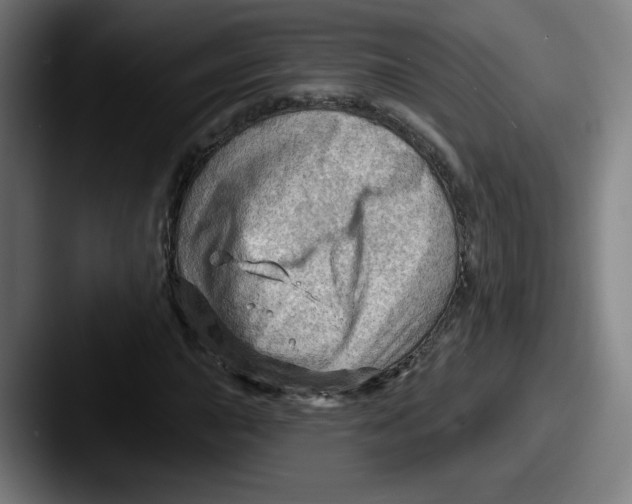 X0000087591015200705181215