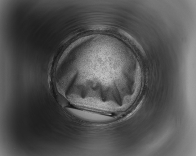 X0000087591017200705181215