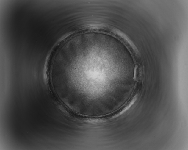 X0000087591018200705181215