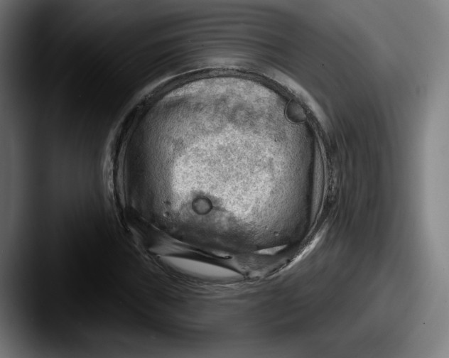 X0000087591019200705181215