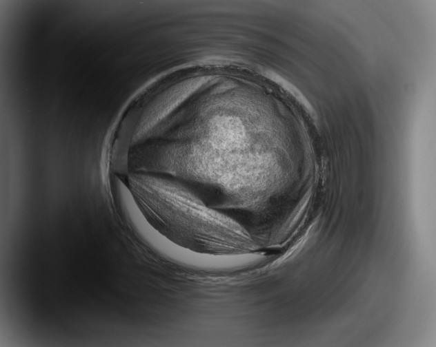 X0000087591021200705181215