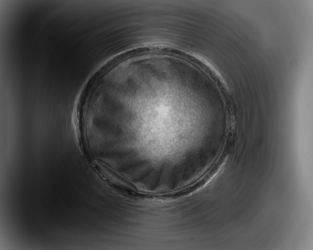 X0000087591022200705181215