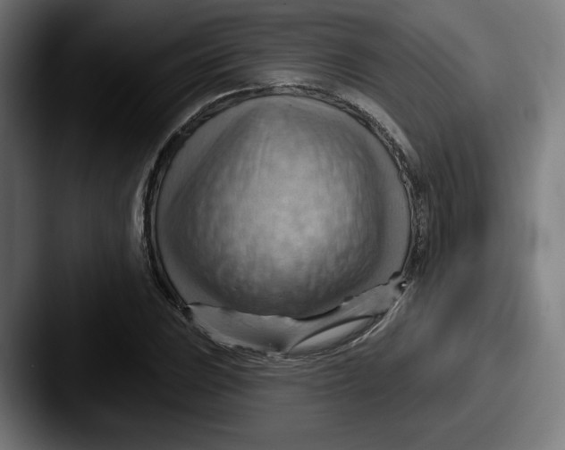 X0000087591023200705181215