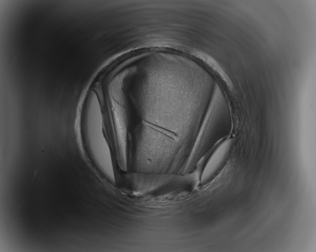 X0000087591024200705181215