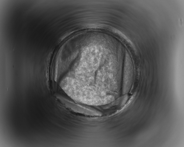 X0000087591025200705181215