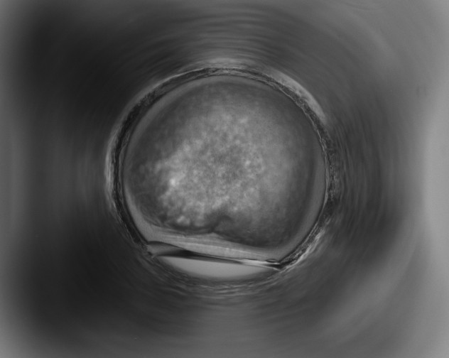 X0000087591027200705181215