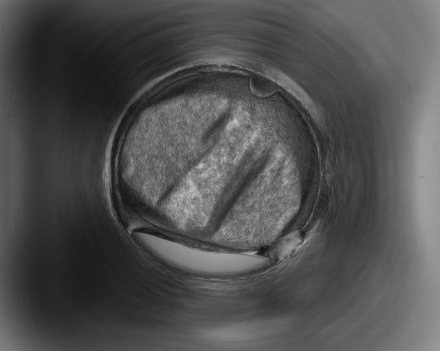 X0000087591028200705181215