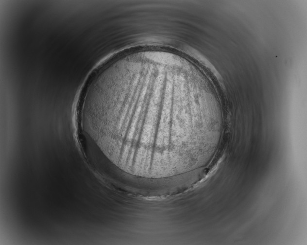 X0000087591029200705181215