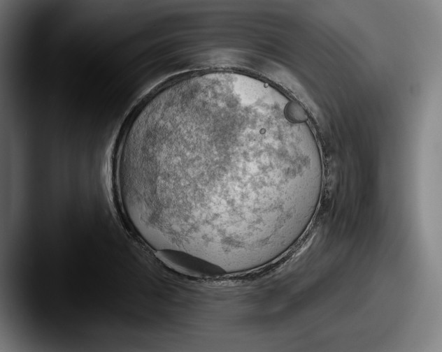 X0000087591031200705181215